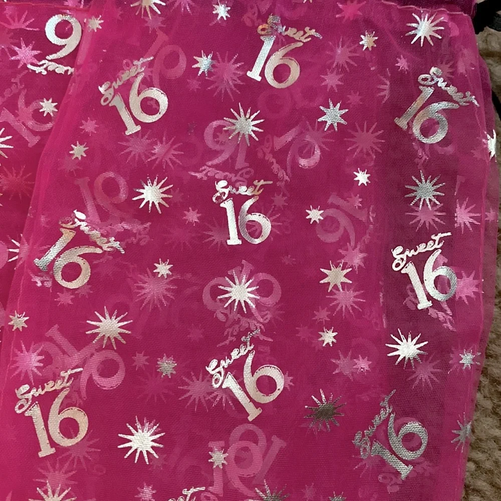 Sweet 16 birthday party favor cinch bags bundle lot set pink and silver